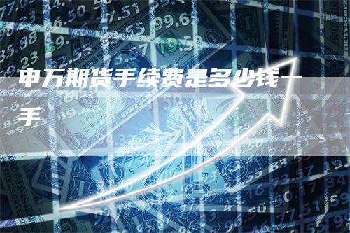 申万期货手续费是多少钱一手