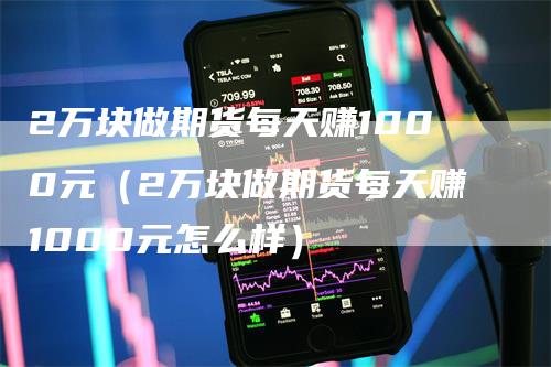 2万块做期货每天赚1000元（2万块做期货每天赚1000元怎么样）
