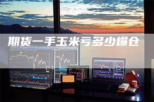 期货一手玉米亏多少爆仓