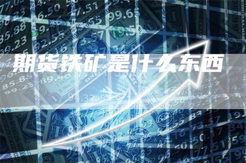 期货铁矿是什么东西