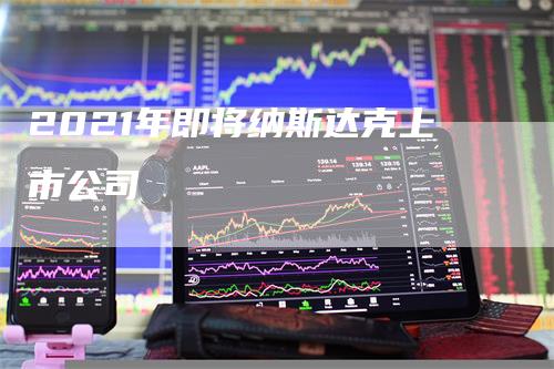 2021年即将纳斯达克上市公司