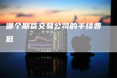 哪个期货交易公司的手续费低-爱民财经