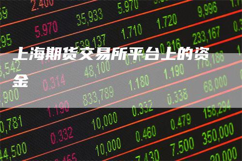 上海期货交易所平台上的资金