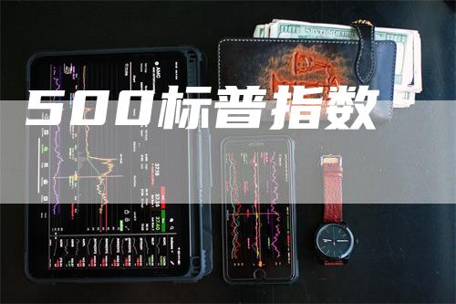 500标普指数