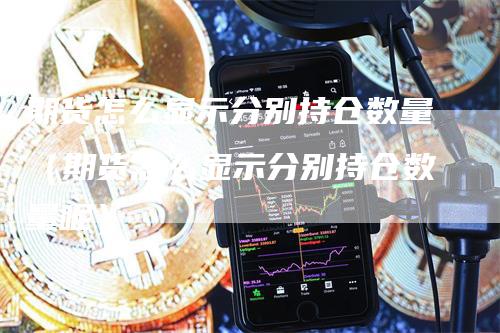期货怎么显示分别持仓数量(期货怎么显示分别持仓数量呢)-爱民财经