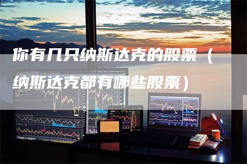 你有几只纳斯达克的股票（纳斯达克都有哪些股票）