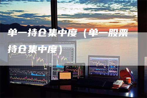 单一持仓集中度（单一股票持仓集中度）
