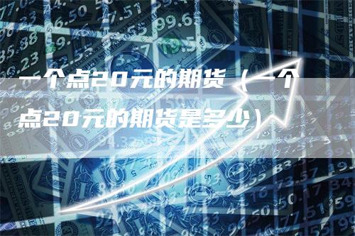 一个点20元的期货（一个点20元的期货是多少）