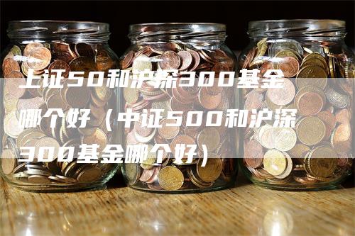 上证50和沪深300基金哪个好（中证500和沪深300基金哪个好）