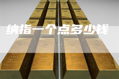 纳指一个点多少钱