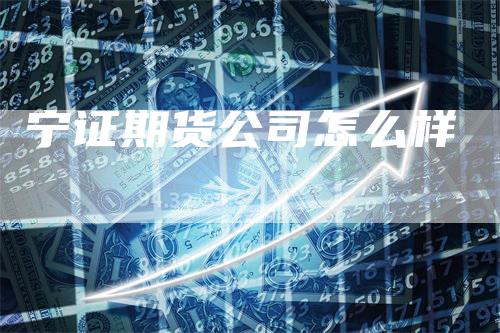 宁证期货公司怎么样