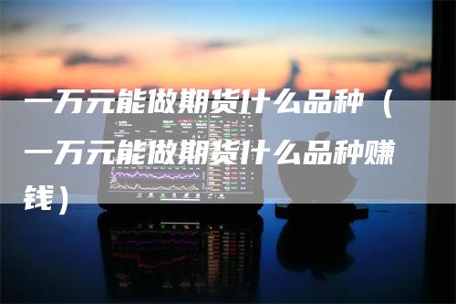 一万元能做期货什么品种（一万元能做期货什么品种赚钱）