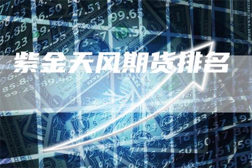紫金天风期货排名